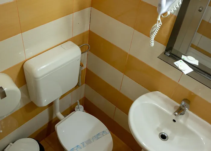 Гостевой дом Curtea Brancoveneasca 2*