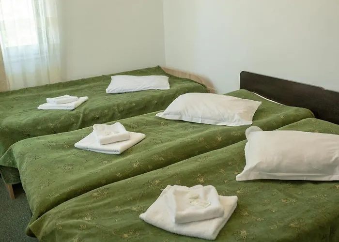 Curtea Brancoveneasca Gasthof 2*